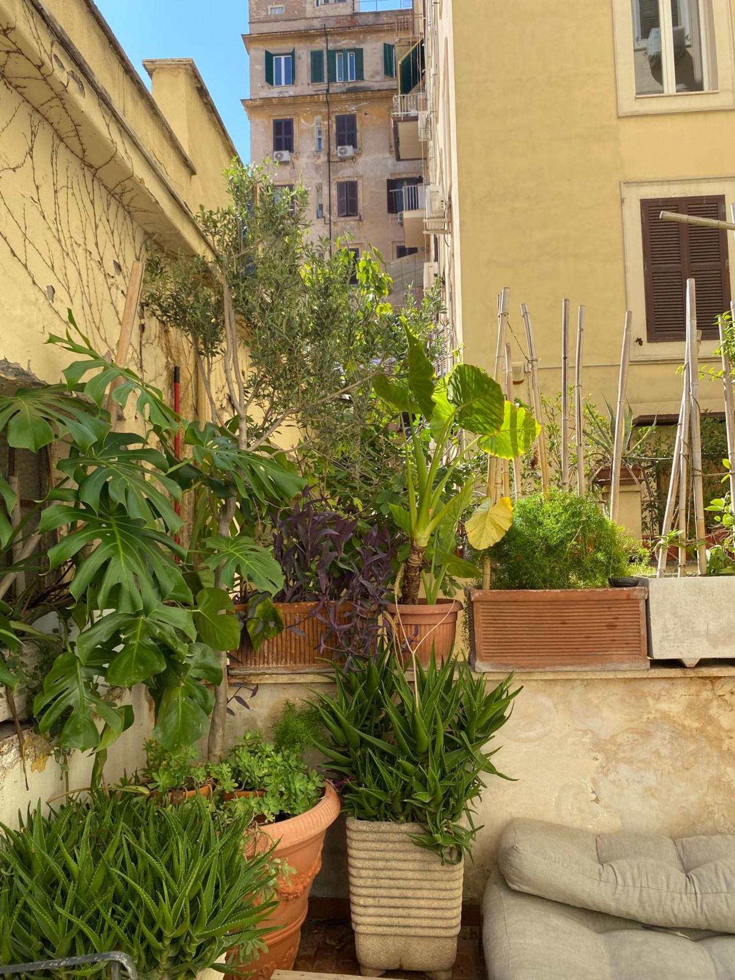 Il Plancton Hotel Roma Exterior foto